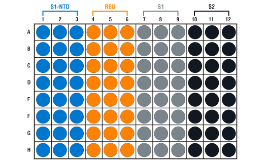  Image 4: SARS-CoV-2 Spike Protein Multi-Domain (S1-NTD, RBD, S1, S2) Serological IgG ELISA Kit