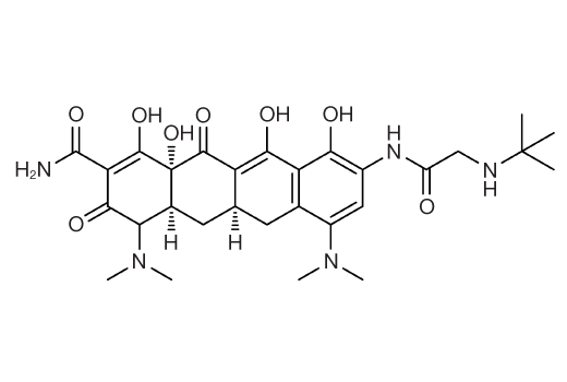  Image 1: Tigecycline