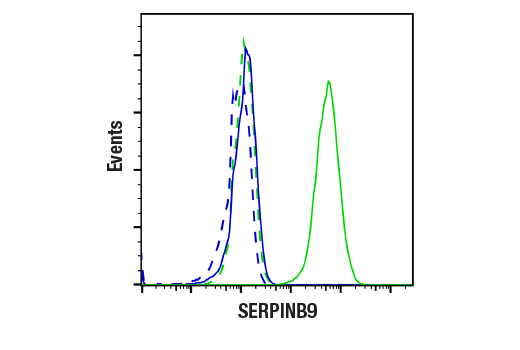 SERPINB9 (E9X9Z) Rabbit mAb (BSA and Azide Free) | Cell Signaling ...