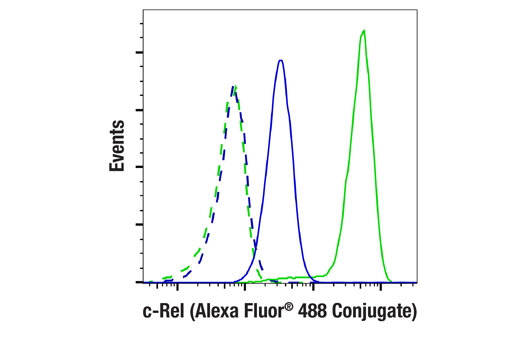 Flow Cytometry Image 1: c-Rel (E8Z5Y) XP® Rabbit mAb (Alexa Fluor® 488 Conjugate)