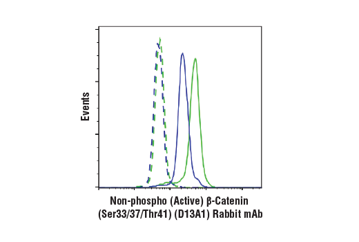 Flow Cytometry Image 1: Non-phospho (Active) β-Catenin (Ser33/37/Thr41) (D13A1) Rabbit mAb