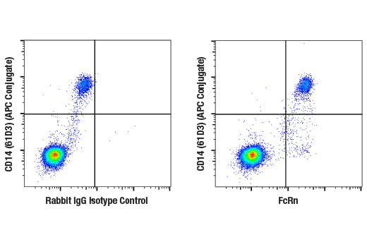 Flow Cytometry Image 2: FcRn (E6D1S) Rabbit mAb
