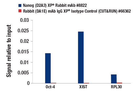 CUT and RUN Image 3: Nanog (D2A3) XP® Rabbit mAb