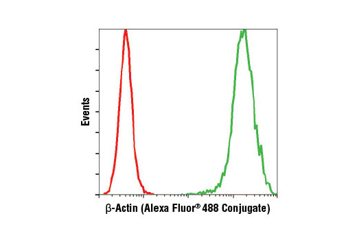 Flow Cytometry Image 1: β-Actin (13E5) Rabbit mAb (Alexa Fluor® 488 Conjugate)