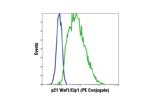 Flow Cytometry Image 1: p21 Waf1/Cip1 (12D1) Rabbit mAb (PE Conjugate)