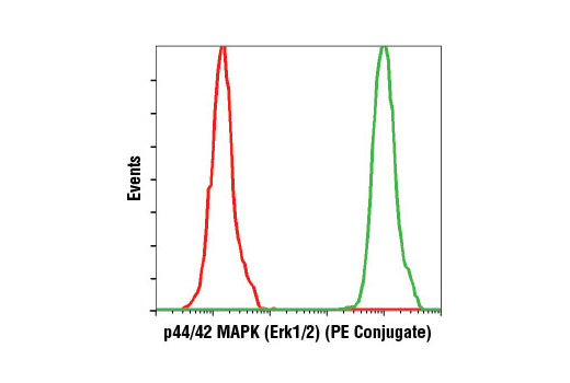 Flow Cytometry Image 1: p44/42 MAPK (Erk1/2) (137F5) Rabbit mAb (PE Conjugate)