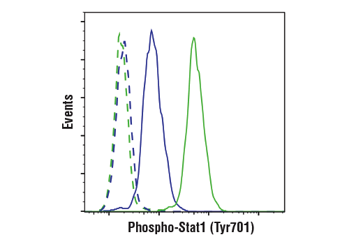 Flow Cytometry Image 1: Phospho-Stat1 (Tyr701) (58D6) Rabbit mAb (BSA and Azide Free)