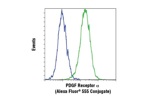 Flow Cytometry Image 2: PDGF Receptor α (D13C6) XP® Rabbit mAb (Alexa Fluor® 555 Conjugate)