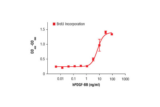  Image 1: Human Platelet-Derived Growth Factor BB (hPDGF-BB)