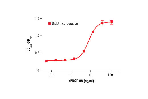  Image 1: Human Platelet-Derived Growth Factor AA (hPDGF-AA)