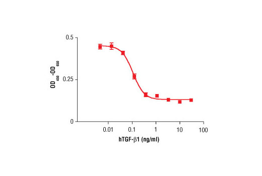  Image 1: Human Transforming Growth Factor β1 (hTGF-β1)