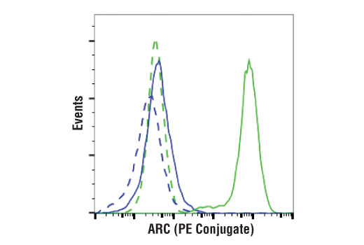 Flow Cytometry Image 1: ARC (D7Q3G) Rabbit mAb (PE Conjugate)