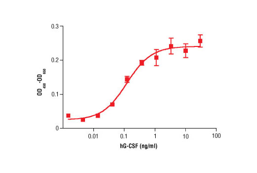  Image 1: Human Granulocyte Colony Stimulating Factor (hG-CSF)