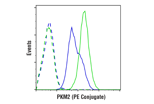 Flow Cytometry Image 1: PKM2 (D78A4) XP® Rabbit mAb (PE Conjugate)