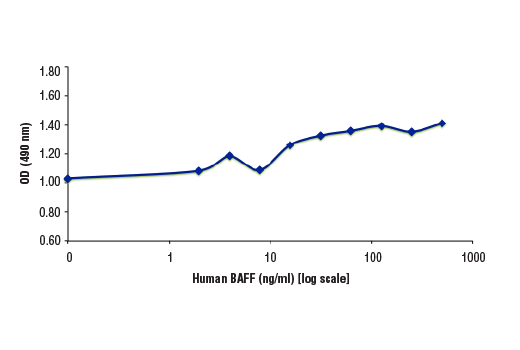  Image 1: Human BAFF/TNFSF13B (hBAFF) Recombinant Protein
