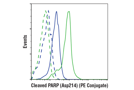 Flow Cytometry Image 1: Cleaved PARP (Asp214) (D64E10) XP® Rabbit mAb (PE Conjugate)