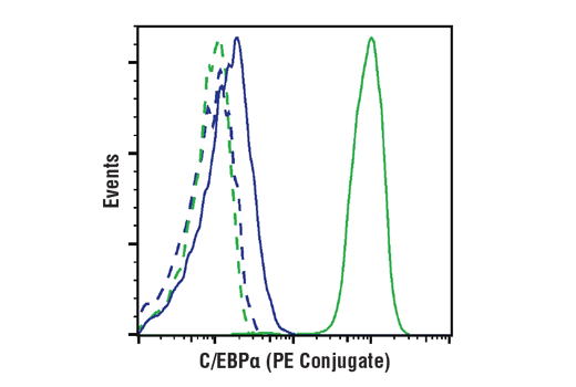 Flow Cytometry Image 1: C/EBPα (D56F10) XP® Rabbit mAb (PE Conjugate)
