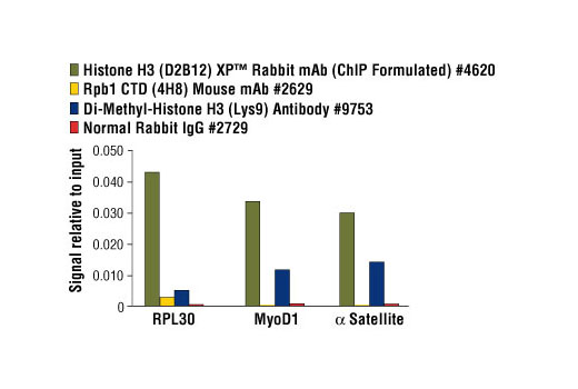 Chromatin Immunoprecipitation Image 2: ChIP-Grade Protein G Agarose Beads