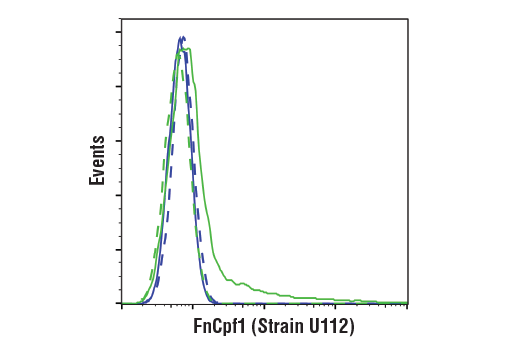 Flow Cytometry Image 1: FnCpf1/Cas12a (Strain U112) (E7I2B) Rabbit mAb