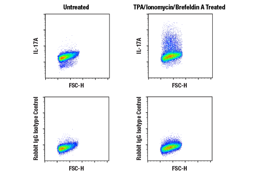 Flow Cytometry Image 1: IL-17A (D1X7L) Rabbit mAb (BSA and Azide Free)