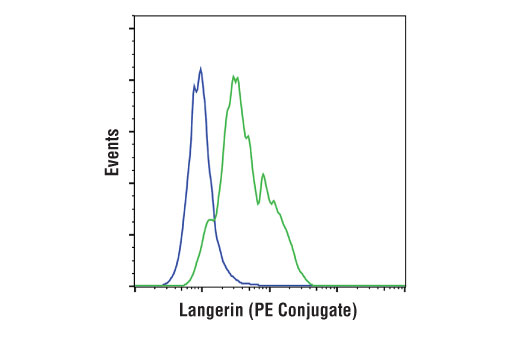 Flow Cytometry Image 1: Langerin (D9H7R) XP® Rabbit mAb (PE Conjugate)