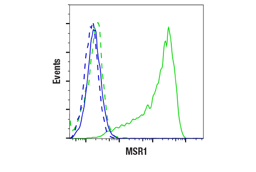 Flow Cytometry Image 3: MSR1 (E4H1C) Rabbit mAb
