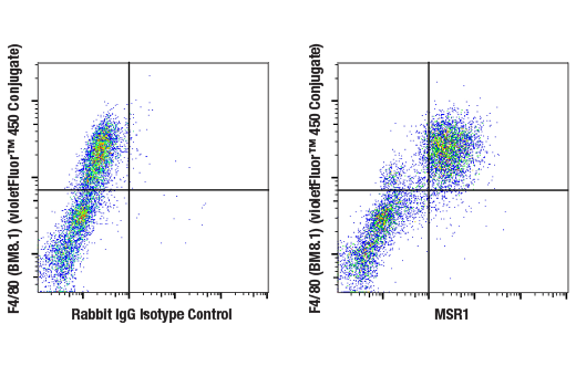 Flow Cytometry Image 1: MSR1 (E4H1C) Rabbit mAb