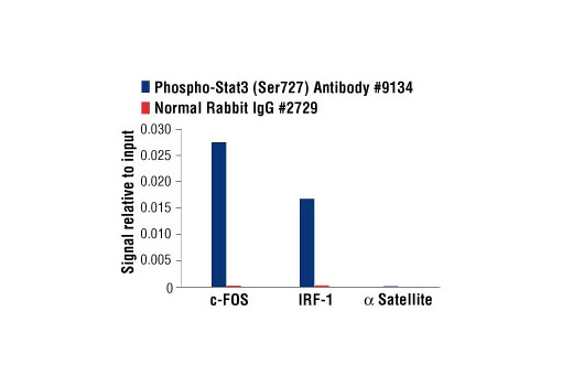 Chromatin Immunoprecipitation Image 1: Phospho-Stat3 (Ser727) Antibody