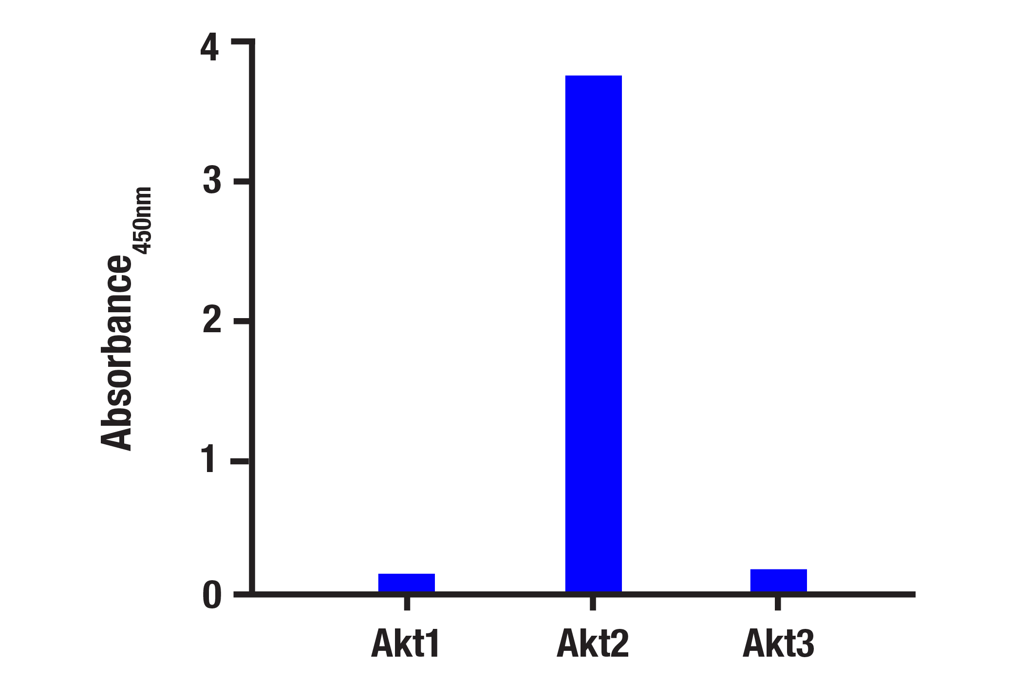  Image 1: Total Akt2 Matched Antibody Pair