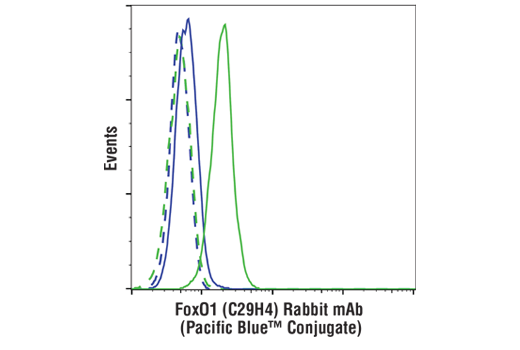 Flow Cytometry Image 1: FoxO1 (C29H4) Rabbit mAb (Pacific Blue™ Conjugate)