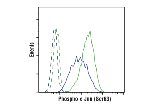 Flow Cytometry Image 1: Phospho-c-Jun (Ser63) (E6I7P) XP® Rabbit mAb