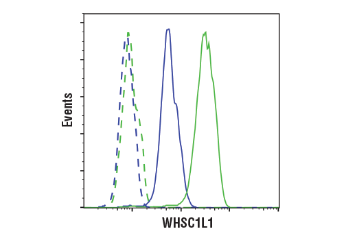 Flow Cytometry Image 1: WHSC1L1 (D4N9N) Rabbit mAb