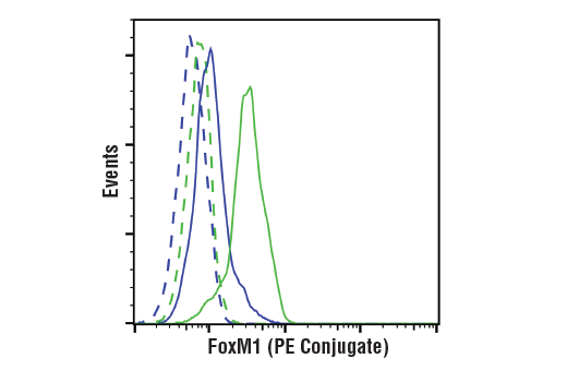 Flow Cytometry Image 1: FoxM1 (D3F2B) Rabbit mAb (PE Conjugate)