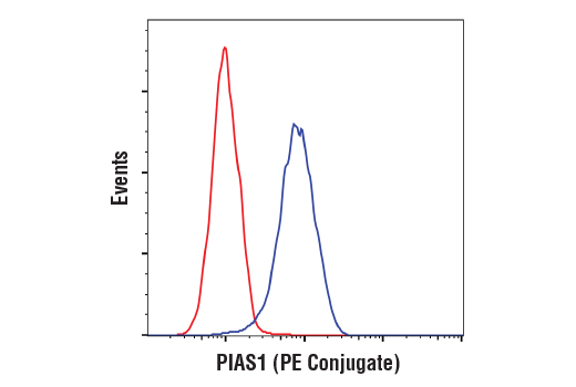 Flow Cytometry Image 1: PIAS1 (D33A7) XP® Rabbit mAb (PE Conjugate)