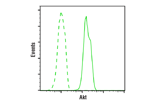 Flow Cytometry Image 1: Akt Antibody