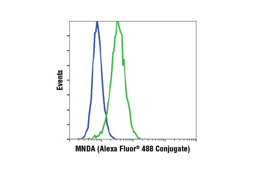 Flow Cytometry Image 1: MNDA (3C1) Rat mAb (Alexa Fluor® 488 Conjugate)