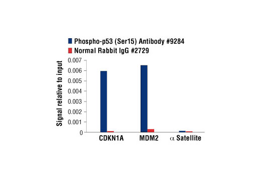 Chromatin Immunoprecipitation Image 1: Phospho-p53 (Ser15) Antibody