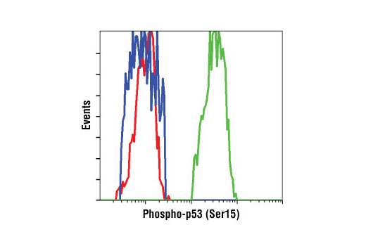 Flow Cytometry Image 1: Phospho-p53 (Ser15) (16G8) Mouse mAb
