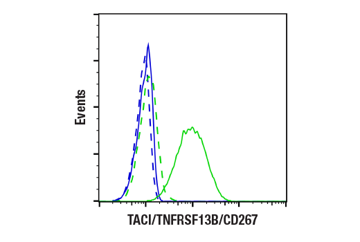 Flow Cytometry Image 3: TACI/TNFRSF13B/CD267 (E3P6X) Rabbit mAb