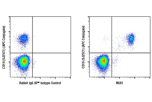Flow Cytometry Image 1: PAX5 (D7H5X) XP® Rabbit mAb (BSA and Azide Free)