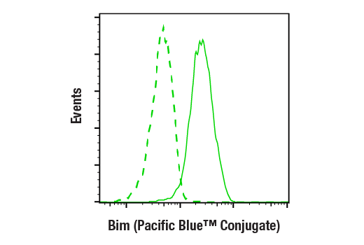 Flow Cytometry Image 1: Bim (C34C5) Rabbit mAb (Pacific Blue™ Conjugate)