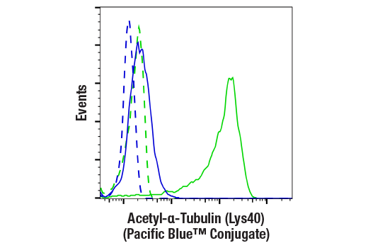 Flow Cytometry Image 1: Acetyl-α-Tubulin (Lys40) (D20G3) XP® Rabbit mAb (Pacific Blue™ Conjugate)﻿