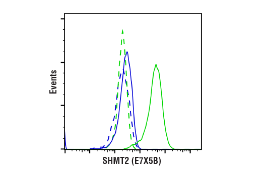 Flow Cytometry Image 1: SHMT2 (E7X5B) Rabbit mAb