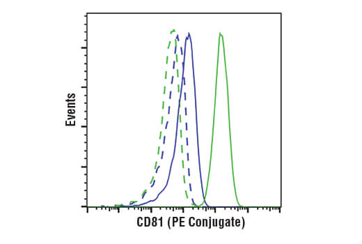 Flow Cytometry Image 1: CD81 (D5O2Q) Rabbit mAb (Mouse Specific) (PE Conjugate)