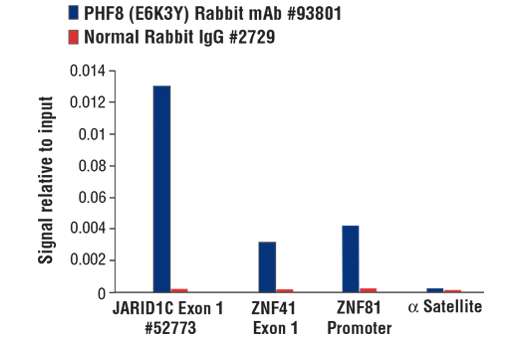 Chromatin Immunoprecipitation Image 3: PHF8 (E6K3Y) Rabbit mAb