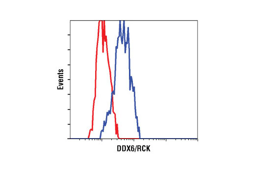 Flow Cytometry Image 1: DDX6/RCK Antibody