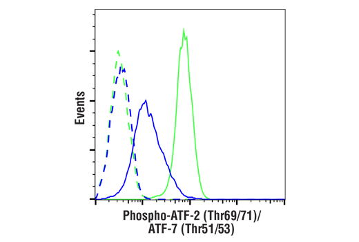 Flow Cytometry Image 1: Phospho-ATF-2 (Thr69/71)/ATF-7 (Thr51/53) (E6A8A) Rabbit mAb (BSA and Azide Free)