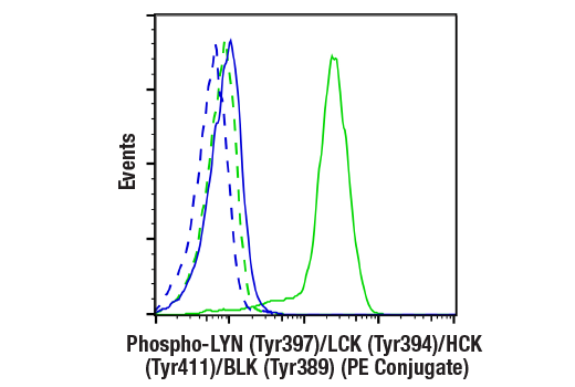 Flow Cytometry Image 1: Phospho-LYN (Tyr397)/LCK (Tyr394)/HCK (Tyr411)/BLK (Tyr389) (E5L3D) Rabbit mAb (PE Conjugate)