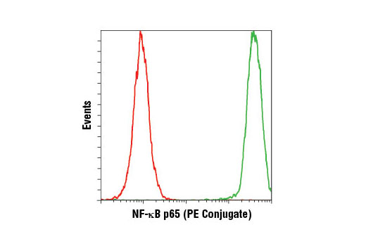 Flow Cytometry Image 1: NF-κB p65 (L8F6) Mouse mAb (PE Conjugate)