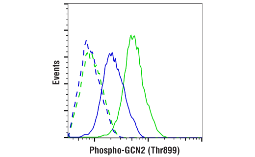 Flow Cytometry Image 1: Phospho-GCN2 (Thr899) (E1V9M) Rabbit mAb